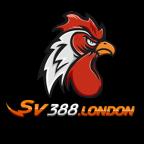 sv388london's Avatar