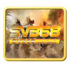 sv368contact1's Avatar