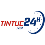 tintuc24hvip's Avatar