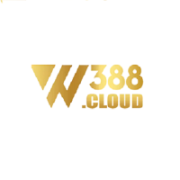 w388cloud's Avatar