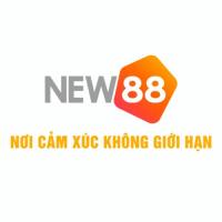 88new88net's Avatar