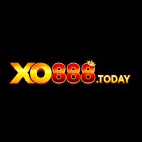 xo888today1's Avatar