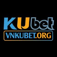 vnkubetorg's Avatar