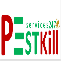 pestkill's Avatar