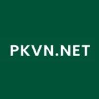 pkvnnet's Avatar