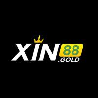 xin88gold's Avatar